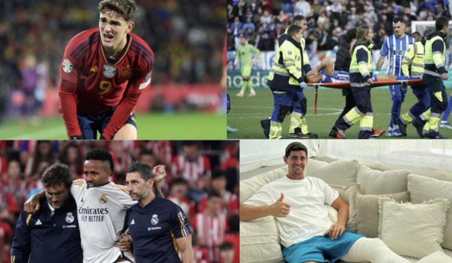 莫兰特不仅 莫兰特不仅